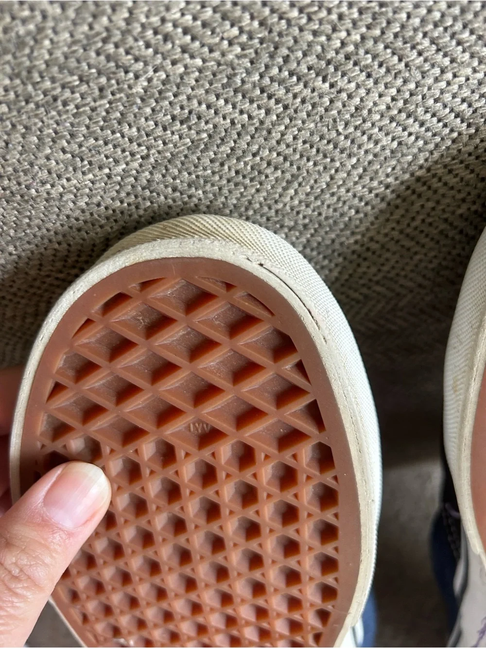 Vans slip zap